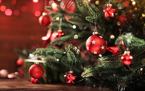 ESBE WISHES YOU ALL A MERRY CHRISTMAS!