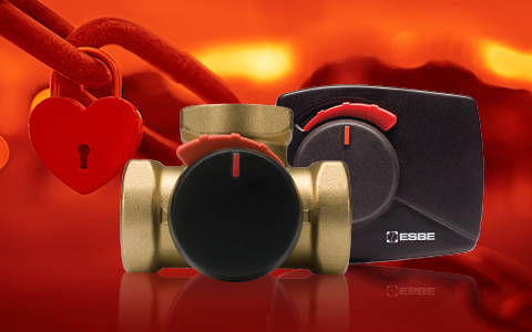 UNA STORIA D'AMORE FIRMATA ESBE: ARA + VRG = UN’UNIONE PERFETTA